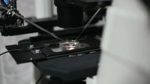 Process of artificial insemination of an egg in an IVF clinic. Reproductive Stock-Footage 170199746