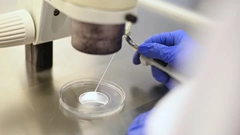 Process of artificial insemination of an egg in an IVF clinic. Reproductive Stock-Footage 170199771
