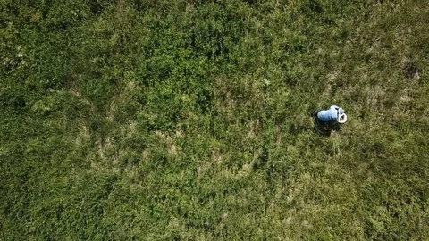 The process of assembling tea and ipava on a large green field Stock Footage 121498922