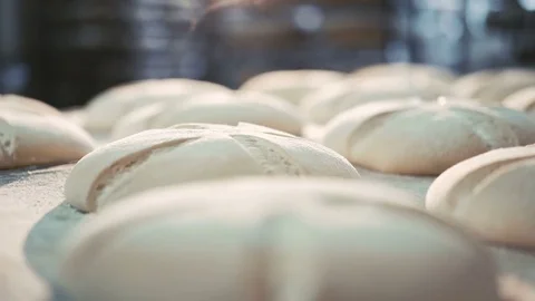 Process of baking breads in 4K Stock Footage 70684771
