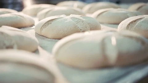 Process of baking breads in 4K Stock Footage 70685090