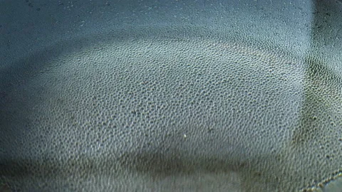 The process of boiling water in a container, 4k video Stock Footage 229869991