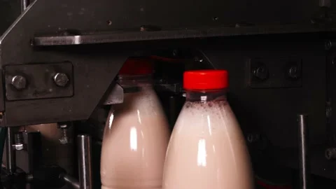 The process of bottled melted milk at a dairy plant Stock Footage 170668077