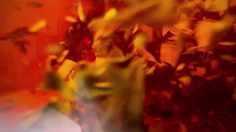 Process brewing tea,tea ceremony. view inside the teapot. 库存影片 253736613