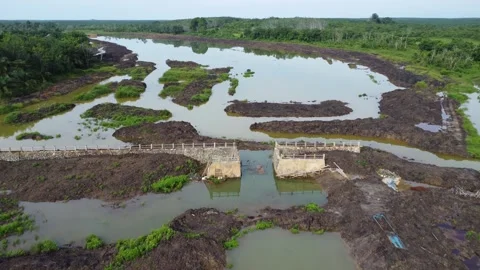 The process of building water irrigation to irrigate plantation areas by di.. Vídeos de archivo 306955529