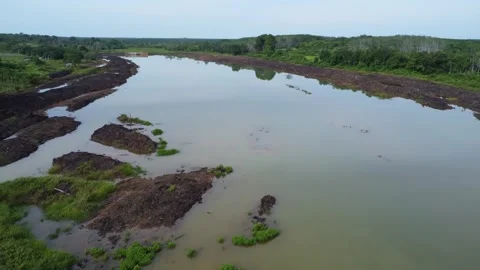 The process of building water irrigation to irrigate plantation areas by di.. Vídeos de archivo 306955566