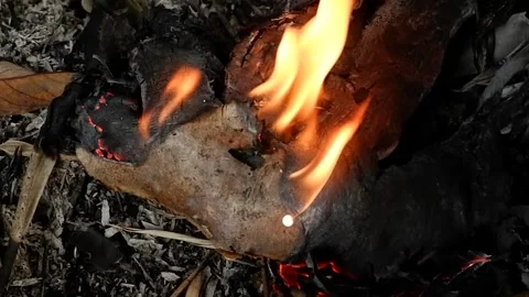 Process of burning dry leaves Stock Footage 229353097