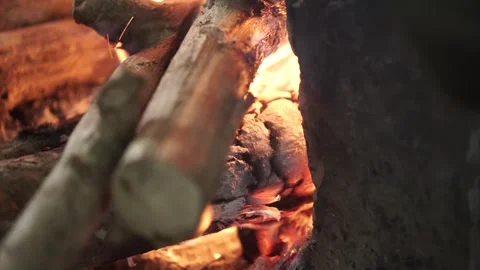 The process of burning wood into charcoal Stock Footage 259271182