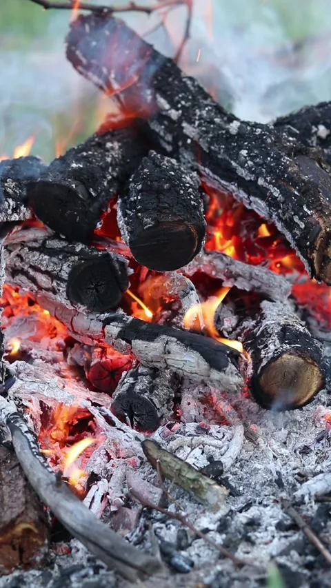 The process of burning wood Stock-Footage 337062261