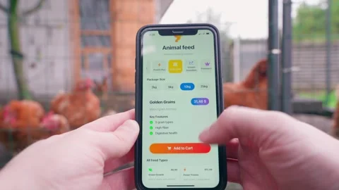 The process of buying multigrain chicken feed against the background of walking Stock Footage 323374114