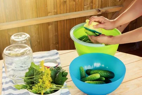Process of canning the crop of cucumbers in prepared jars Stock Photos