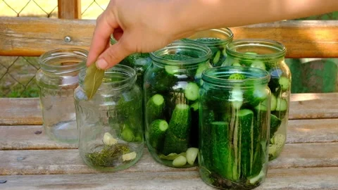 Process of canning pickled gherkins, pickles cucumbers in glass jars. Stock Footage