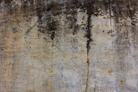 The process of capturing black mold. The process of moldy buildings Stock Photos