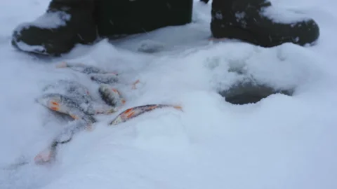 The process of catching fish from an ice hole, time lapse. Stock Footage 267723069