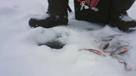 The process of catching fish from an ice hole Video stock 273346710