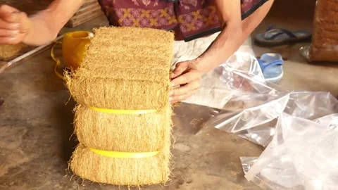 The process of checking the quality of chopped tobacco leaves Video stock 291849538