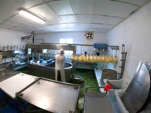 Process in cheese making Stock Photos