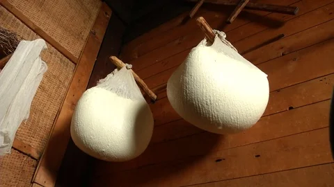 Process cheese ripening Stock Footage 71127571