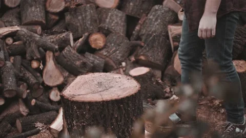 Process of chop wood on a backyard with a lot of logs. Video stock 142109176