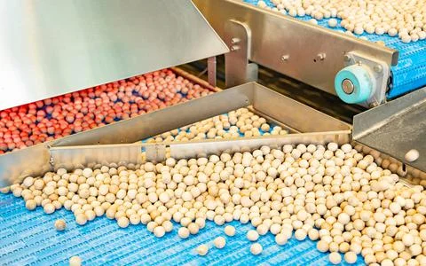 Process of cleaning and sorting nuts in a factory Stock-Fotos