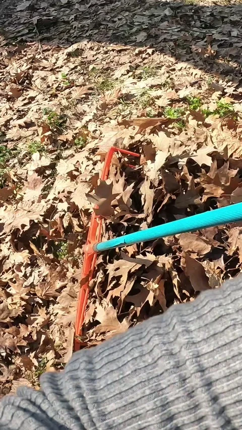 The process of cleaning the autumn garden Stock Footage 345869726