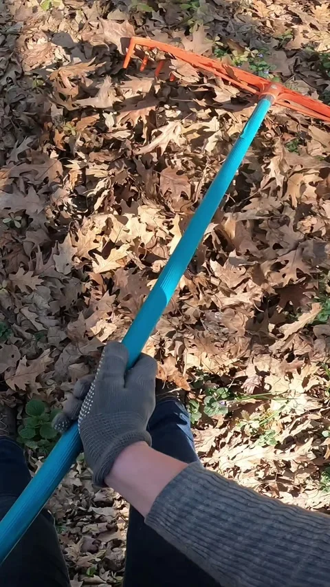 The process of cleaning the autumn garden Stock Footage 345869734