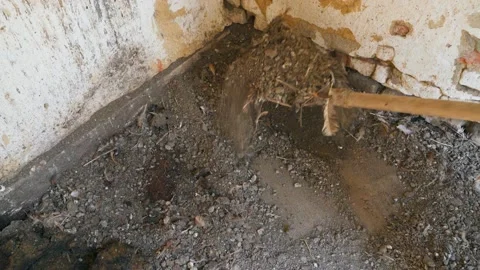 Chicken Fertilizer Stock Video Footage | Royalty Free Chicken ...