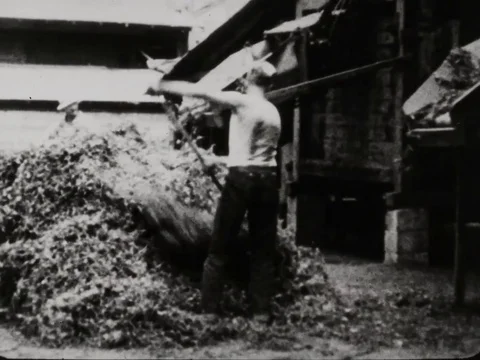 Process of clearing the stack - 1935 Stock Footage 95815053