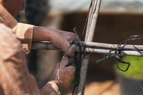Process of construction of structure for tomato orchard. Selective focus. Stock Photos