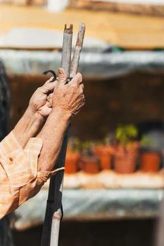 Process of construction of structure for tomato orchard. Selective focus. Stock Photos