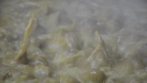 The process of cooking the culinary cork fish typical of Aceh Indonesia Stock Footage 133412743