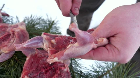 The process of cooking quail meat in winter in nature Stock Footage 170756024
