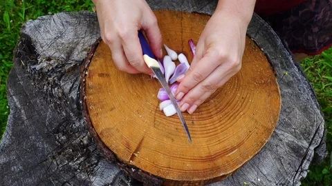 The process of cooking salad or soup in nature. A woman is cutting vegetables Stock Footage 94797630
