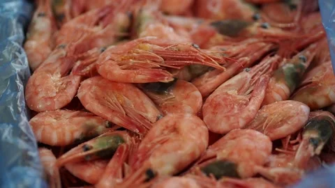 The process of cooking shrimp in a saucepan. Boiled shrimp in a plate. 库存影片 146039402
