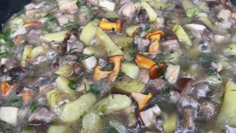 Process of cooking wild mushroom with potatoes. Stock Footage 254415676