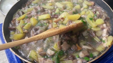 Process of cooking wild mushroom with potatoes. Stock Footage 254417094
