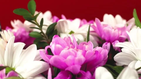 The process of creating a bouquet of flowers for a gift for the spring holidays, Stock Footage 148944495