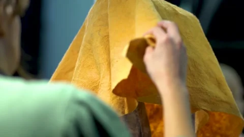 The process of creating ecorche. The sculptor is working. Stock Footage 152895016