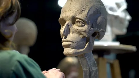 The process of creating ecorche. The sculptor is working. Stock Footage 152895256