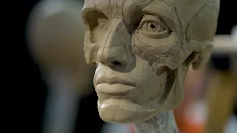 The process of creating ecorche. The sculptor is working. Stock Footage 152895416
