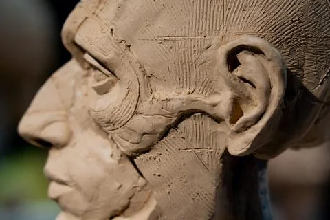 The process of creating ecorche. The sculptor is working. Fotos Stock