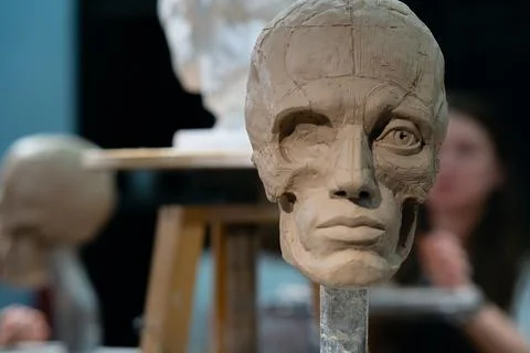 The process of creating ecorche. The sculptor is working. Foto stock