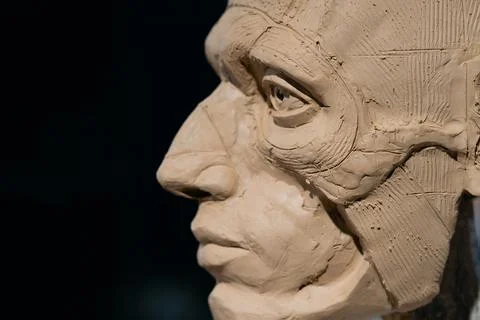 The process of creating ecorche. The sculptor is working. 스톡 사진
