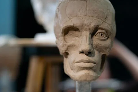 The process of creating ecorche. The sculptor is working. Stock Photos