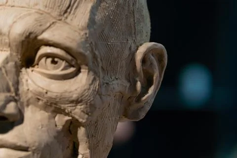 The process of creating ecorche. The sculptor is working. Stockfoto's