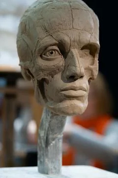 The process of creating ecorche. The sculptor is working. Fotos Stock
