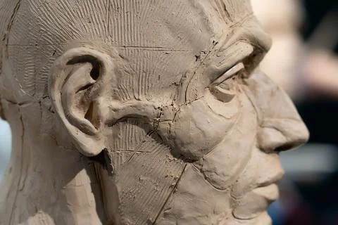 The process of creating ecorche. The sculptor is working. Foto stock