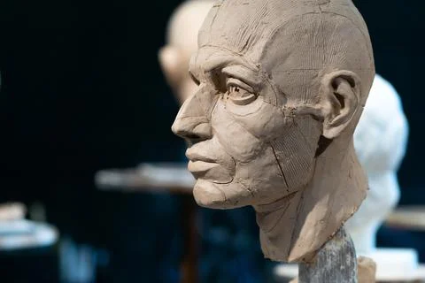 The process of creating ecorche. The sculptor is working. 스톡 사진
