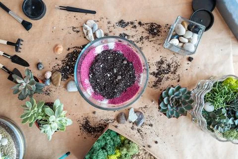 The process of creating a florarium. Pink decorative sand were poured into pot Foto stock