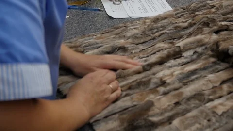 The process of creating a fur coat: sewing and cutting Stock Footage 103173362